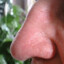Savory Nose