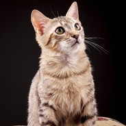 今天你练车啦吗