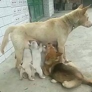 别问，问就是卡