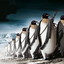 Empire of penguins