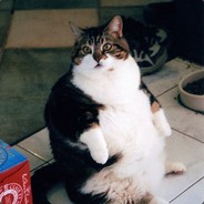 a_female_human_being