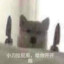 理塘最強伝說と絕兇の猛虎!純真丁一郎です!