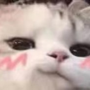 读到我记得提肛