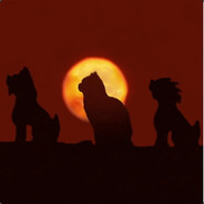 第一天来警局上班