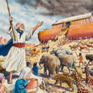 Carrying more animals than Noah