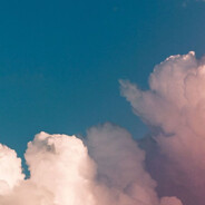 想和强袭虫做一整天