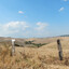 belbrulevfripp