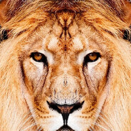 leeevыч - steam id 76561199536413951