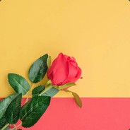 脑瓜子又嗡嗡De