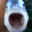 San Diego Killer Fish