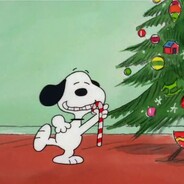 Duke - steam id 76561199149322370