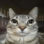 водитель по губам