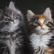 前女友管理大师