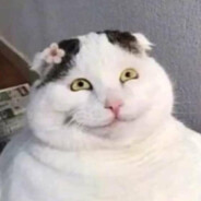 Travel Around ( Công Cẩn )