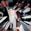 CAT KNIFE