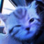 meowpeow