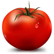 tomato