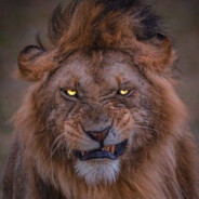 javadrs9 - steam id 76561198854947905