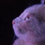 HunterC