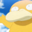 psyduck ☆