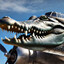 Bombardilo Crocodillo