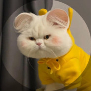 我的野牛也很牛