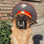 сидеть