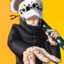 Trafalgar D. Law