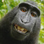 Monkeyman