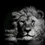 The Lion