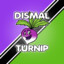 DismalTurnip