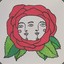 Siamese Rose