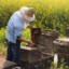 beekeeper
