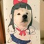 小笨笨