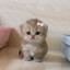 h1kkyyyy♡