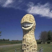 Nuts For Sale
