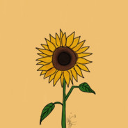Sunflower 24/7 [⇄]