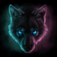 (-_-)DarkWolf(-_-)