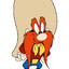 HAYDO