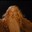 Gandalf