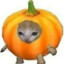 PumpkinCat