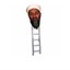 osama bin ladder