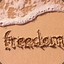 freedom_ga