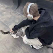 肘开了啦 挡着我了