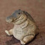 lil gay croc
