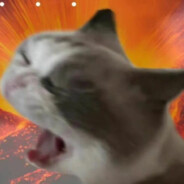 偷拍三角头翘臀