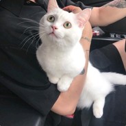 没有耳机的小调皮