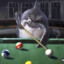 PoolShark