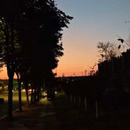 太好了，是花心酱，我们有救了