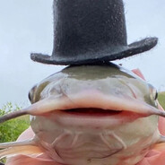 𝚃𝚎𝚜𝚝𝚎𝚛